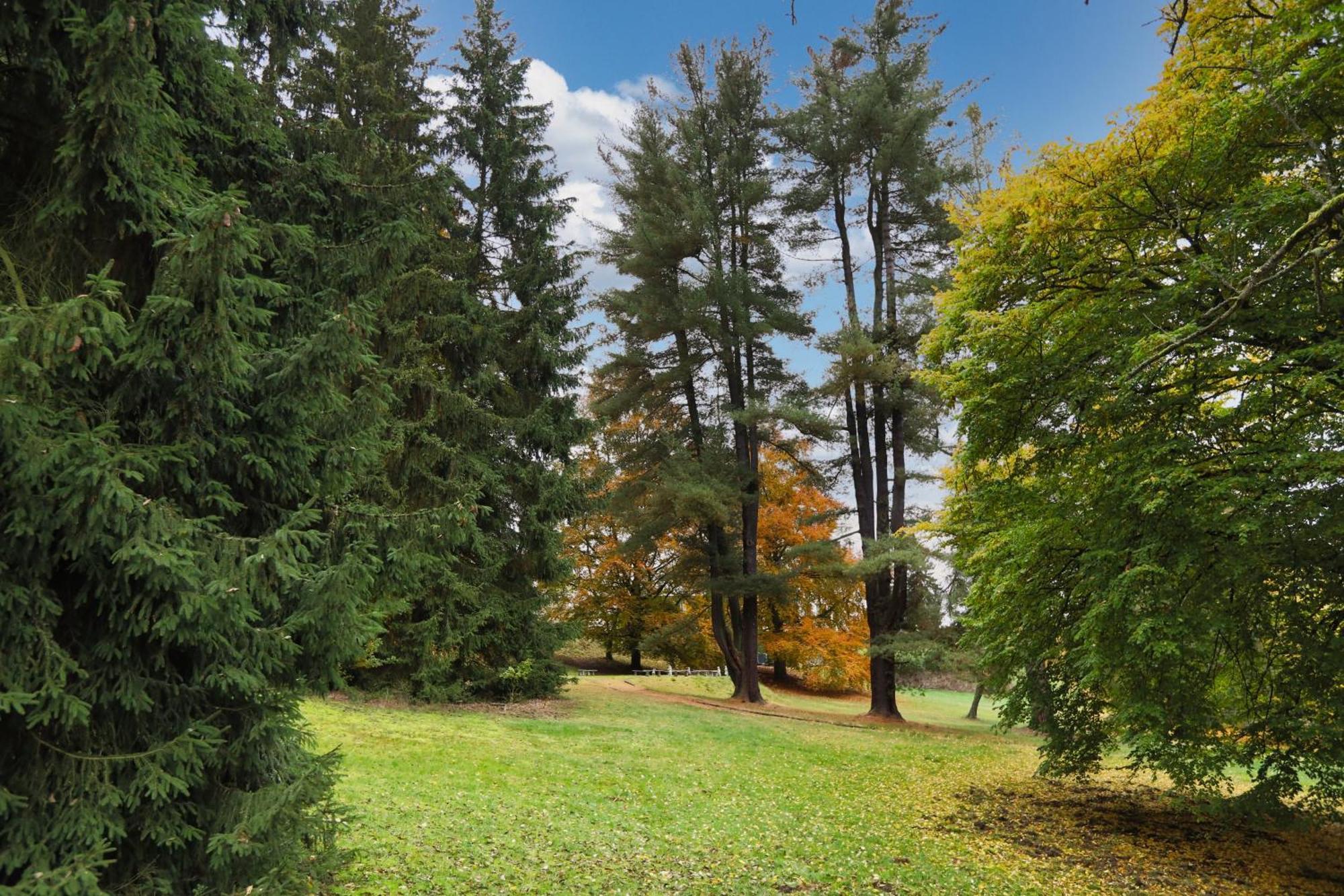 Pension U Golfu Cihelny Karlovy Vary Luaran gambar