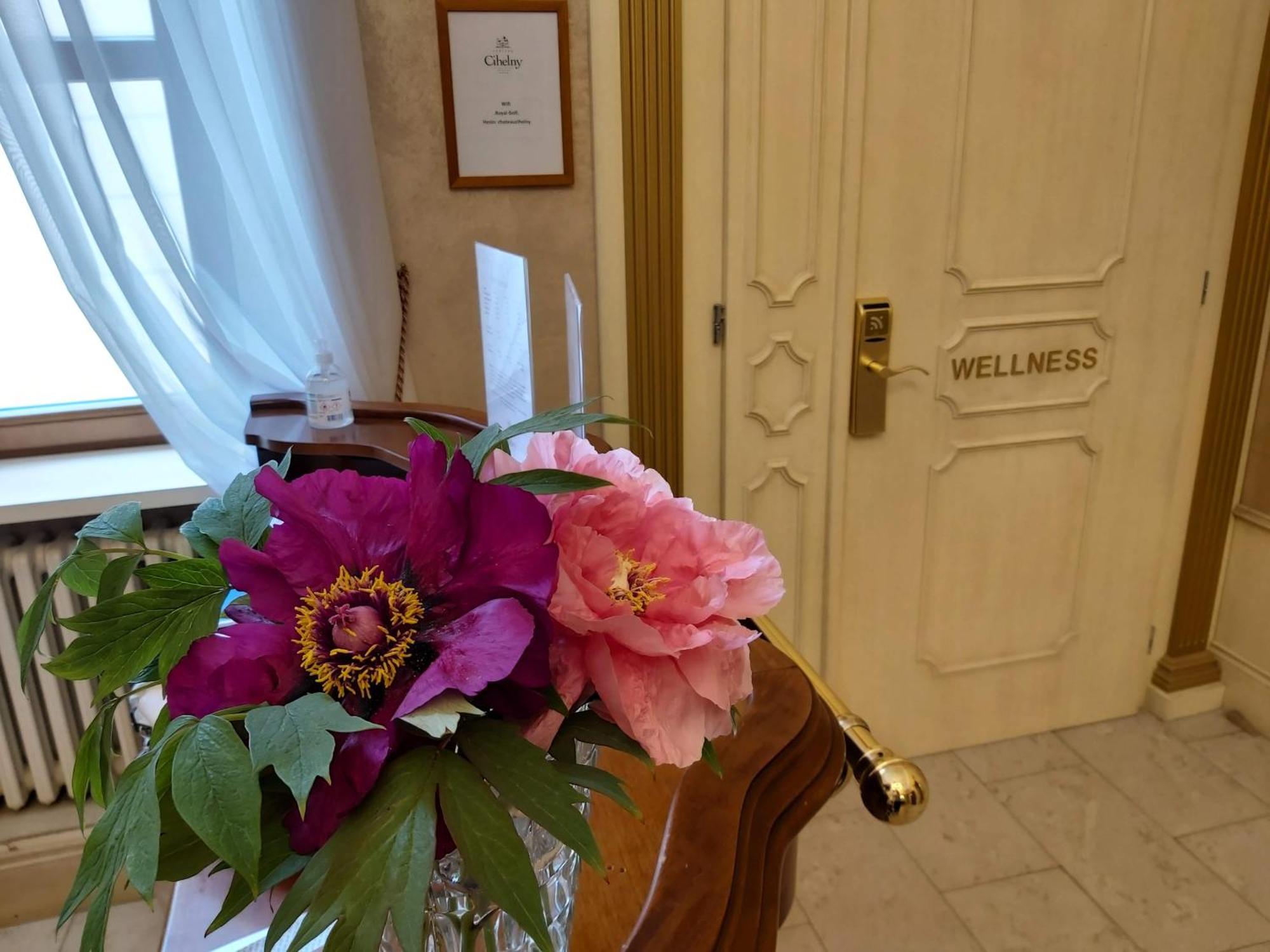 Pension U Golfu Cihelny Karlovy Vary Luaran gambar